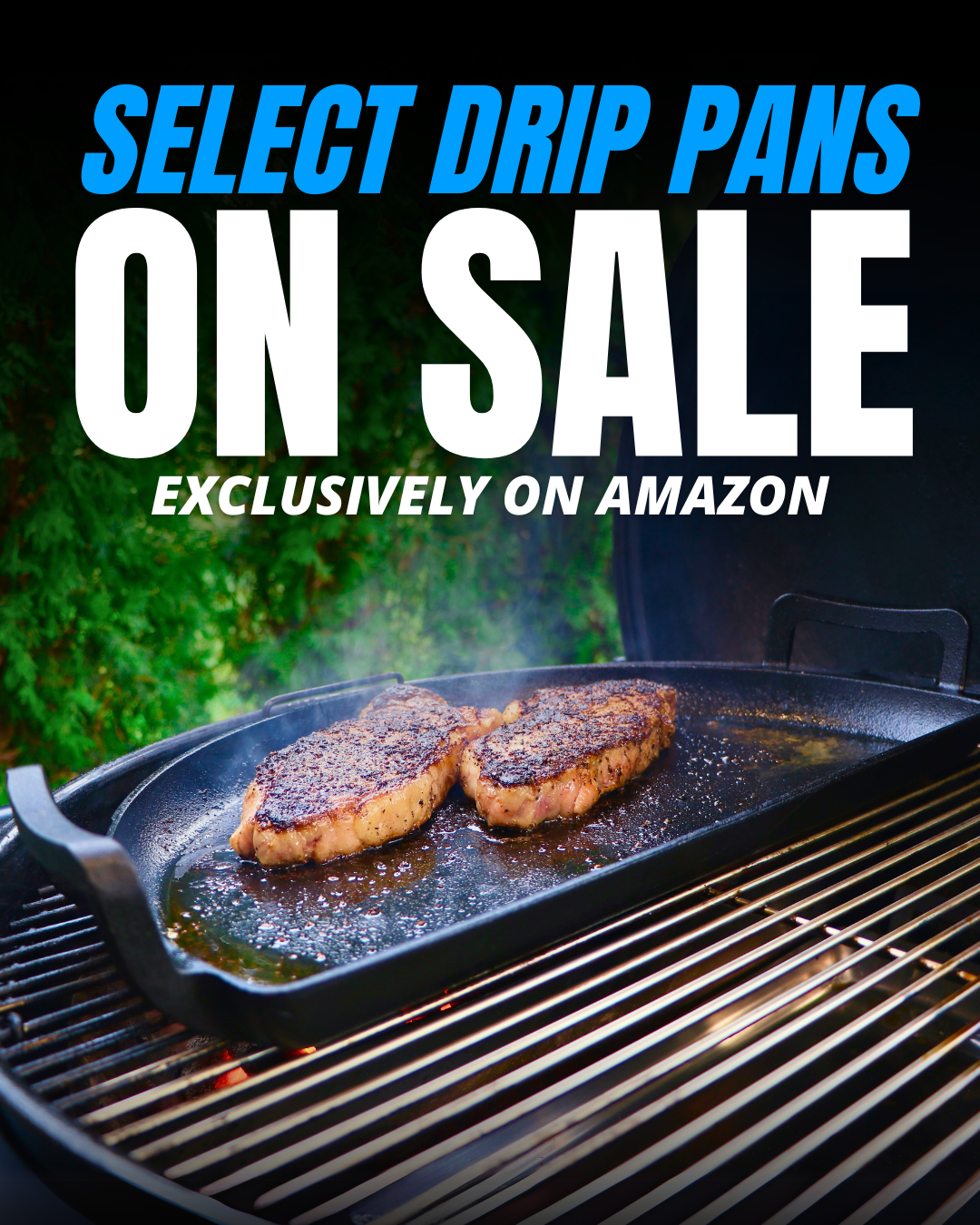 SnS Grills
