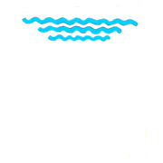 SnS Grills logo